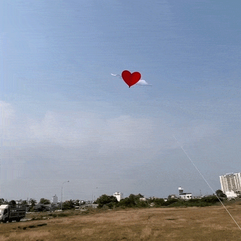 DIỀU TRÁI TIM VỖ CÁNH