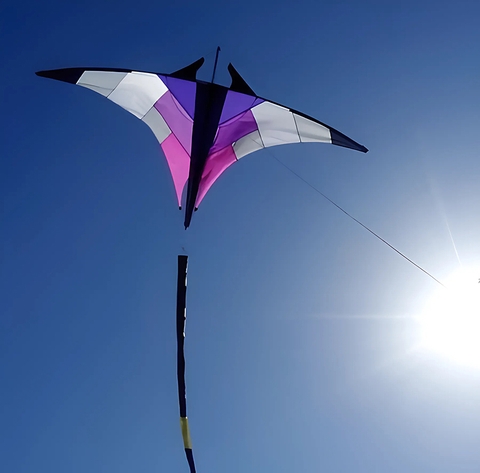 DIỀU CÁ ĐUỐI 2.4M