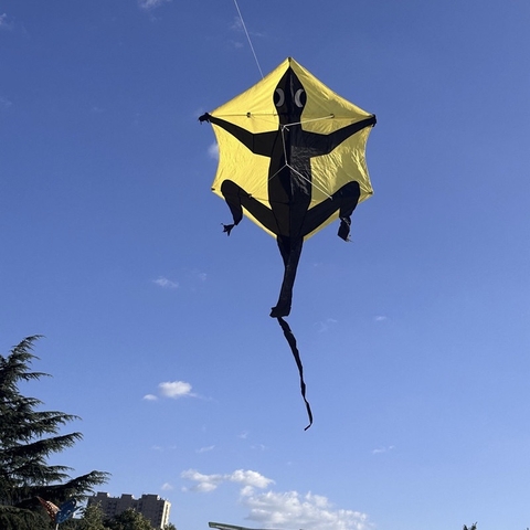 DIỀU ROKKAKU THẰN LẰN