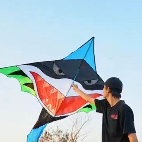 DIỀU CÁ MẬP ĐEN