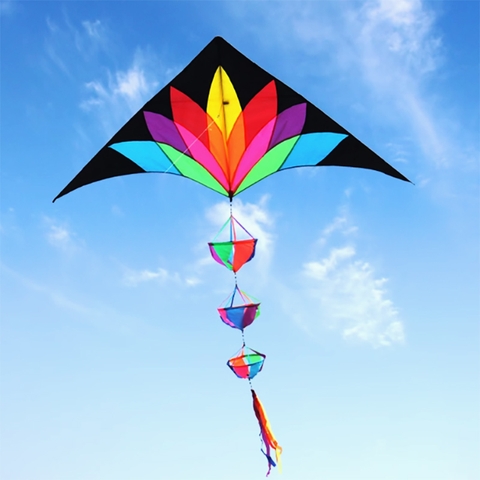 DIỀU DELTA FLOWER COLOR 2M