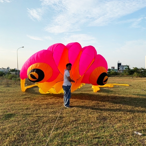 DIỀU KHÍ ĐỘNG HỌC - TRILOBITE 36M2