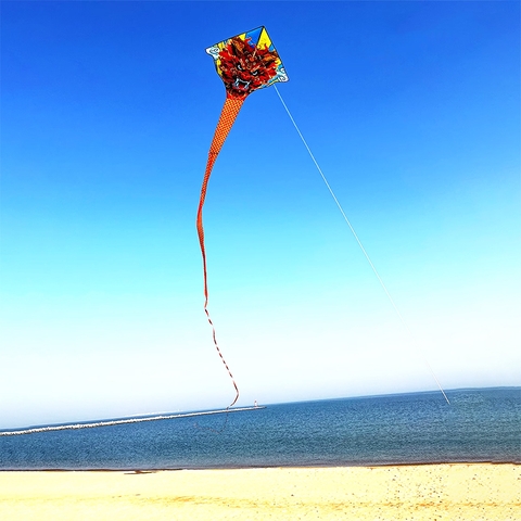 DIỀU RỒNG 10M
