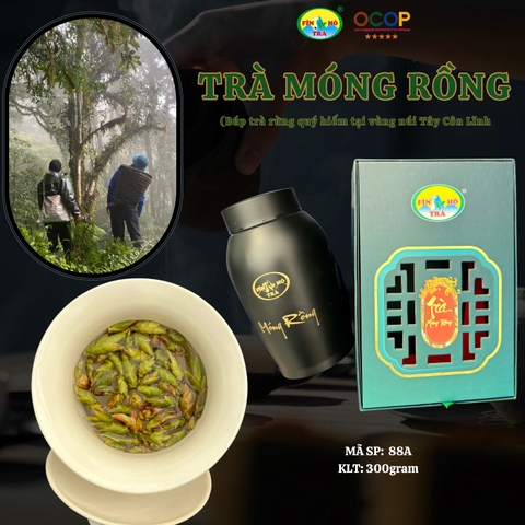 TRÀ MÓNG RỒNG - TRÀ RỪNG HOANG DÃ DÃY TÂY CÔN LĨNH (Hộp 300g cao cấp)