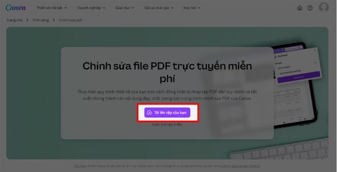 Hướng dẫn cách chỉnh sửa file PDF trong Canva siêu tiện lợi chỉ trong một nốt nhạc