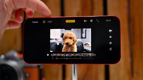 Camera iPhone Bị Loá Sáng