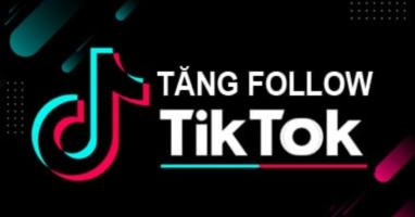 Những cách tăng follow TikTok hiệu quả, miễn phí nhanh nhất năm 2023
