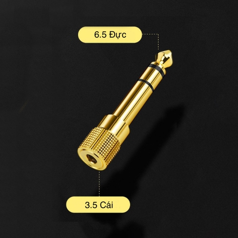 Đầu Chuyển 6.5 Đực Ra 3.5 Cái Mạ Vàng (Đầu Lớn)