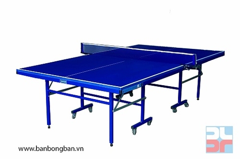 Bàn bóng bàn Đức Long PT-06