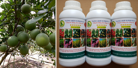 Công dụng của chế phẩm NANO AKH SUPER plus chuyên dùng cho trồng trọt (Phân bón lá nano cao cấp)