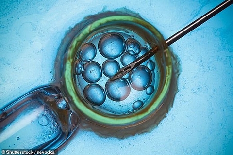Công nghệ mới tăng tỷ lệ thành công của kỹ thuật IVF