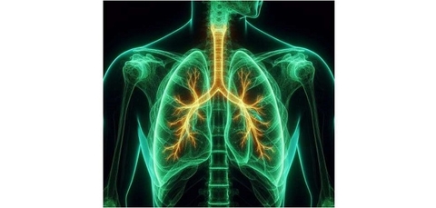 Bệnh lao có tác động kéo dài đến sức khỏe phổi ở những bệnh nhân đã điều trị khỏi