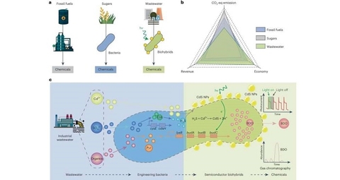 Biến đổi nước thải thành các vật liệu bán dẫn sinh học: một tiến bộ khoa học từ Trung Quốc