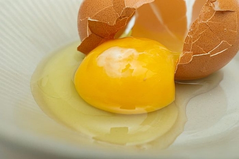 Trứng biến đổi gen có thể chấm dứt tình trạng dị ứng do ăn trứng