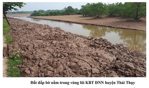 Quản lý đất ngập nước gắn với phát triển kinh tế xã hội vùng ven biển đồng bằng sông Hồng
