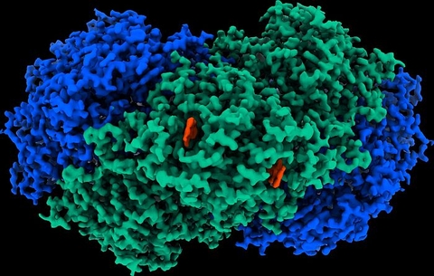 Một loại enzyme mới giúp sản xuất điện sạch từ không khí