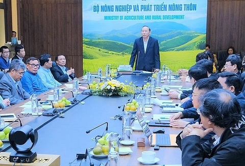 Triển khai Chiến lược phát triển khoa học, công nghệ và đổi mới sáng tạo ngành nông nghiệp đến năm 2030, tầm nhìn đến năm 2050
