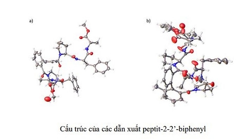 Tổng hợp thư viện các hợp chất peptidomimetic phục vụ việc tìm kiếm thuốc mới chữa Parkinson và Alzheimer