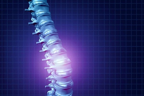 Thuốc điều trị ung thư kích hoạt sự hồi phục đáng kể sau chấn thương tủy sống ở chuột