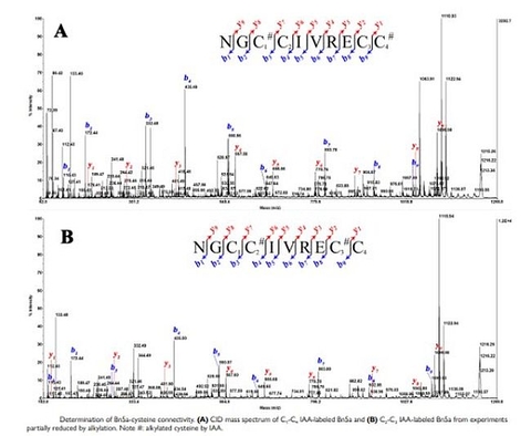 Nghiên cứu các peptides hoạt tính sinh học thần kinh của ốc nón săn nhuyễn thể ở vùng biển Khánh Hòa