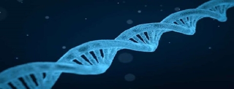 Nghiên cứu mới xác định hai loại protein có thể góp phần tái phát đột quỵ