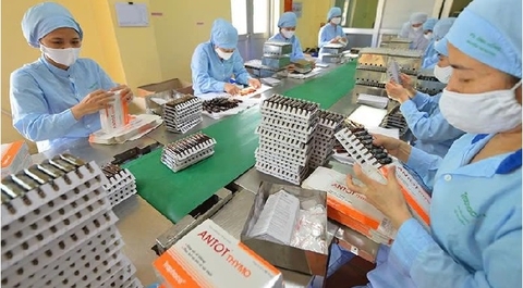 Thúc đẩy các giải pháp dựa vào tự nhiên trong phát triển bền vững doanh nghiệp