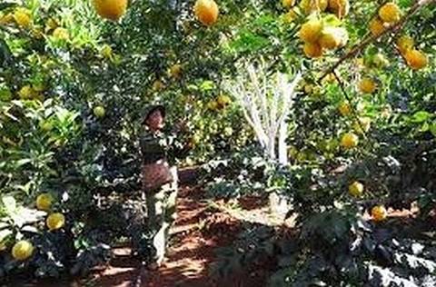 Một số giải pháp phát triển các mô hình du lịch cộng đồng góp phần giảm nghèo vùng dân tộc thiểu số