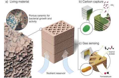 Gốm “sống” sử dụng vi khuẩn để cảm biến khí và thu giữ carbon