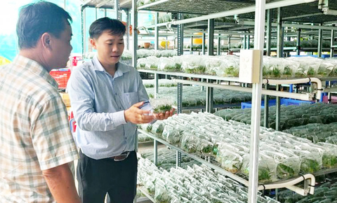 Từ phòng thí nghiệm ra đồng ruộng: Chính sách 2025 mở lối đưa khoa học công nghệ đồng hành cùng nông nghiệp