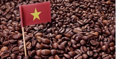 Giải pháp vượt qua “hàng rào” EUDR cho cà phê Việt Nam