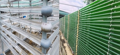 Nuôi trồng tảo xoắn Spirulina trong hệ thống ống kín Bioreactor