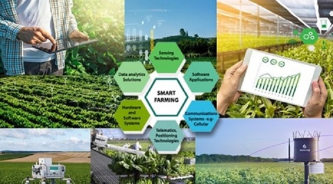 Phát triển nông nghiệp thông minh đột phá từ công nghệ 5.0