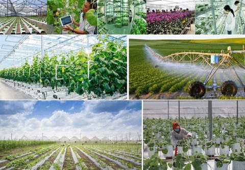 Hơn 2.000 hợp tác xã nông nghiệp ứng dụng công nghệ cao vào sản xuất