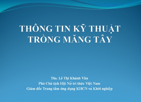 Kỹ thuật trồng măng tây của Nhật