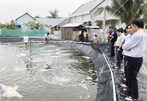 Sản xuất protease và amylase từ vi khuẩn