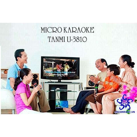 Micro không dây Tanmi U-3810 (bộ 2 micro không dây)