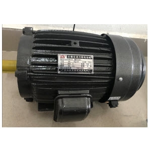 Động cơ lực - Torque Motor