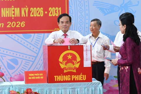 TP. Hồ Chí Minh: 99% cử tri đi bỏ phiếu bầu cử ĐBQH và HĐND khóa mới