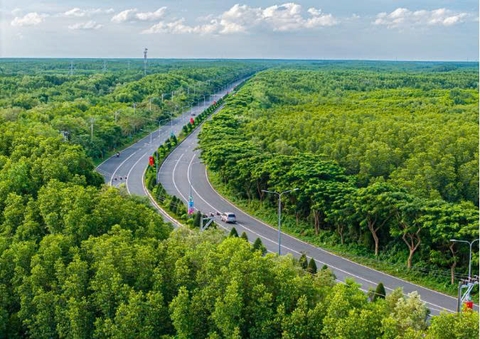 Đề án du lịch sinh thái rừng Cần Giờ mở hướng khai thác du lịch bền vững