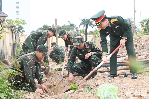 Trung đoàn 244 phát động “Tết trồng cây đời đời nhớ ơn Bác Hồ” Xuân Bính Ngọ 2026