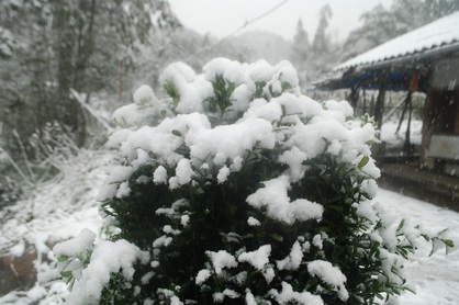 no_image
