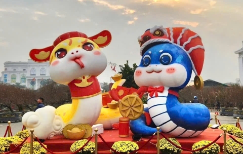 Cặp linh vật ở Phú Thọ được bình chọn 'hoa hậu rắn' Tết Ất Tỵ