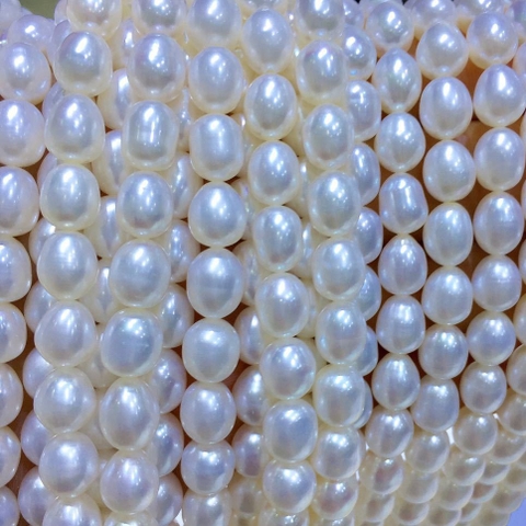 Dây ngọc trai nguyên liệu - Hạt xoài mọng(8-9ly) - AAA (Bề mặt hoàn hảo)  - CTJ64