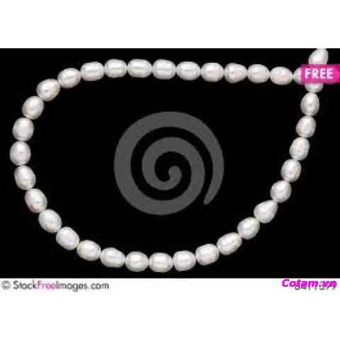 Vòng cổ ngọc trai N39