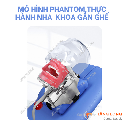 Đầu Phantom Thực Hành Nha Khoa Gắn Ghế