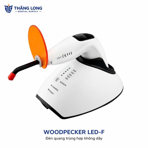 Đèn trám quang trùng hợp Led F Woodpecke- Nhập khẩu chính hãng