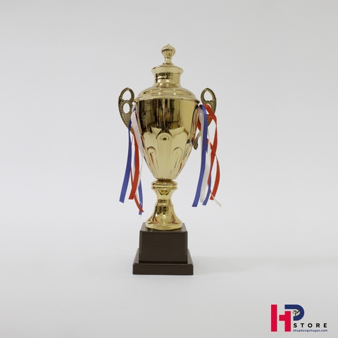 Cup Lưu Niệm Bóng Chuyền 3