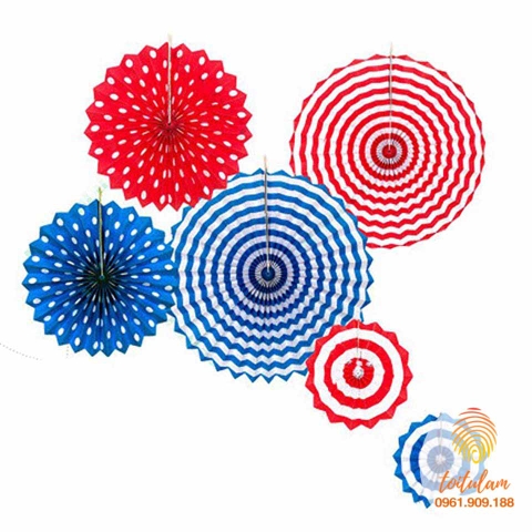 Bộ 6 hoa rẻ quạt sinh nhật