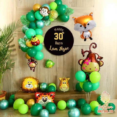 SET PHÔNG SINH NHẬT PO.A002