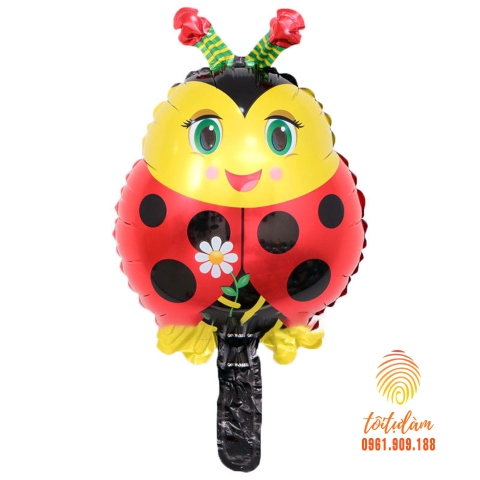 Con bọ cánh cứng